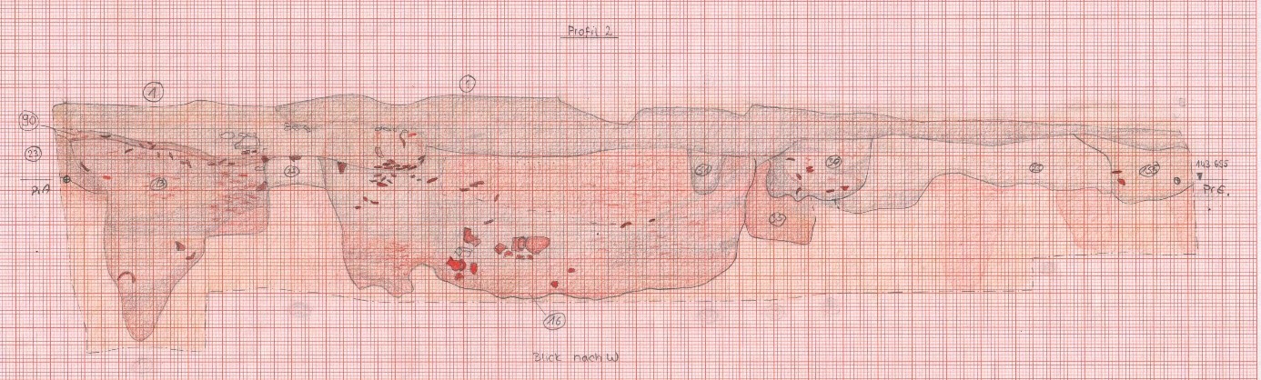 Befundsituation Befundsituation